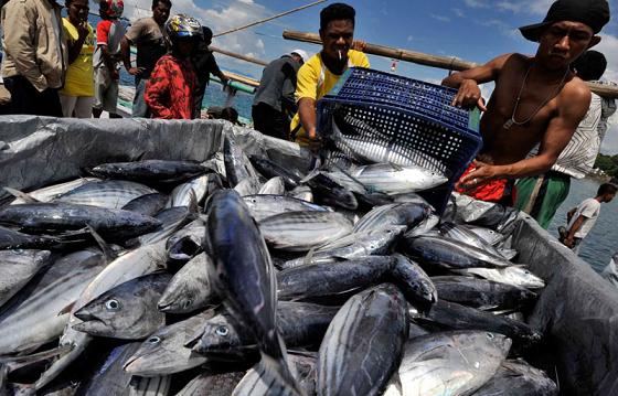 Next, Targeting Fishery Commodities
